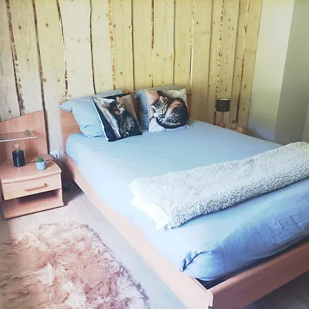 別荘 Le Refuge De La Source