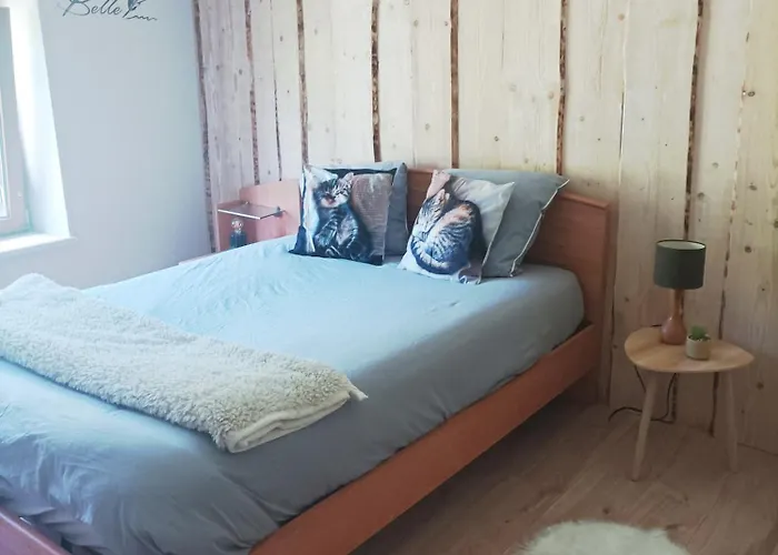 Le Refuge De La Source * Bussang